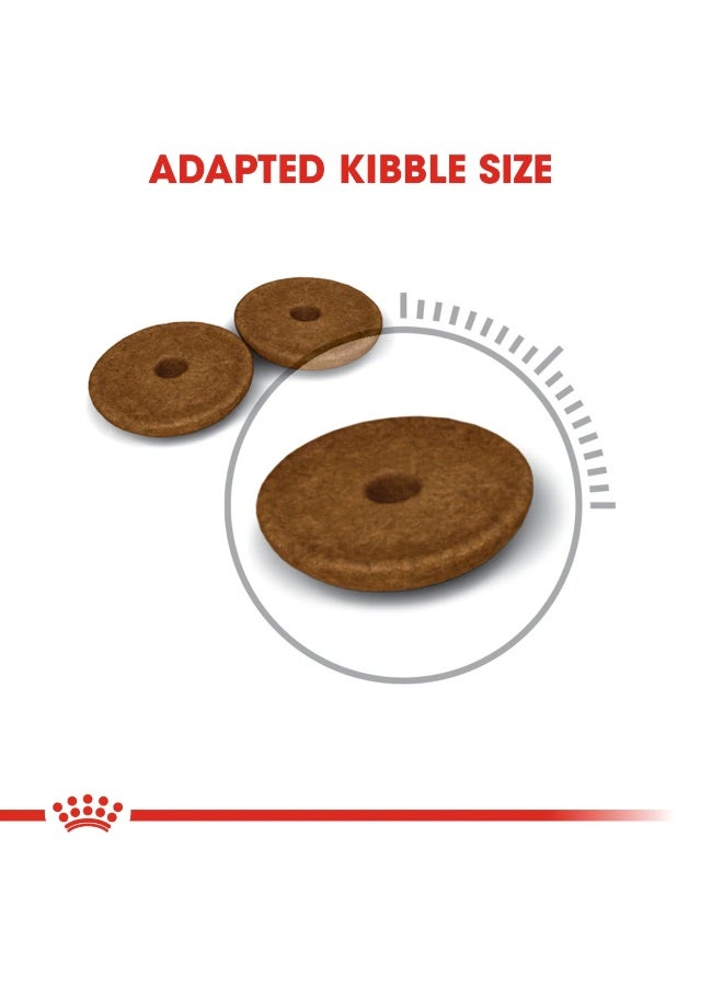 رويال كانين ديجستيف كير طعام جاف للقطط - 400 جرام - Image 2